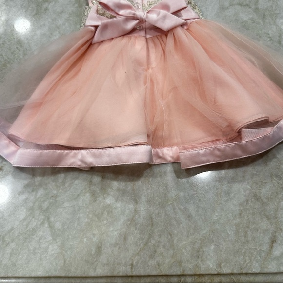 Rare Editions Baby Dress Formal Elegant Lace Tulle Size 3-6 Months Pink And Gold - Picture 7 of 9